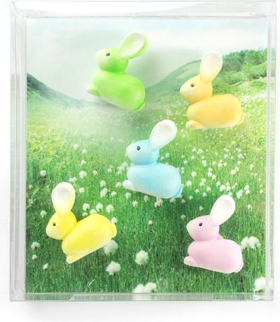 Image du produit Trendform Lapin (6 x)
