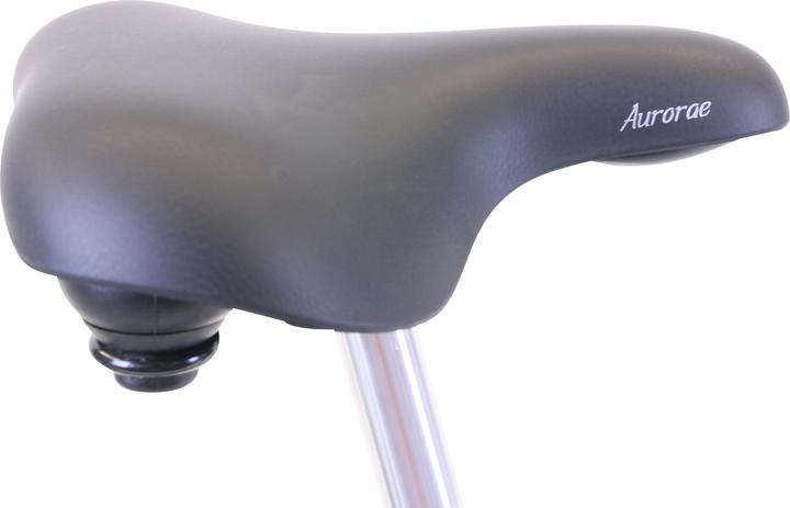 Produktbild Hawk City Classic Joy (48 cm)