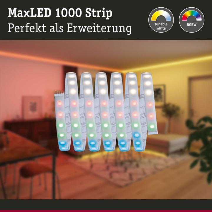 Actual product image Paulmann MaxLED (RGBW, 250 cm, Indoor)
