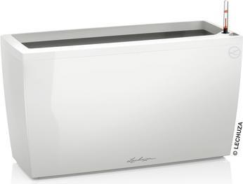 Lechuza Cararo (30 cm)