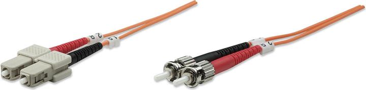 Intellinet Netzwerkkabel (CAT6, 3 m)