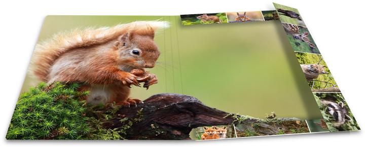 Produktbild HERMA Sammelmappe A3 Motiv (A3, 1x)