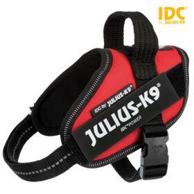 Image du produit Julius-K9 IDC Harnais de puissance Mini/M (M, Chien)