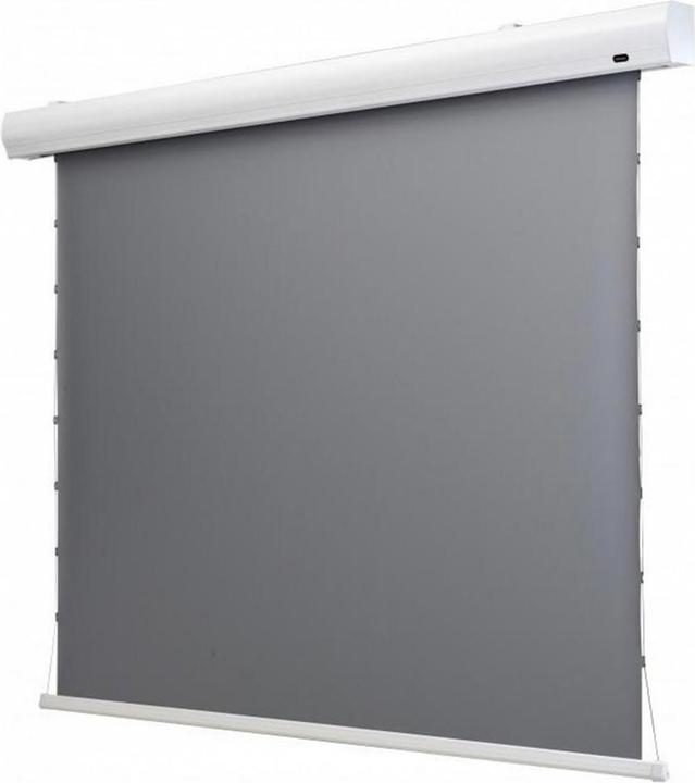 Celexon HomeCinema Dynamic Slate ALR (120", 16:9)