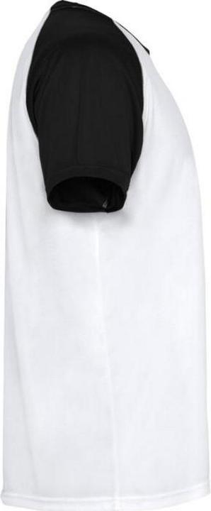 Actual product image Alpinia Unisex Adult Indianapolis Short-Sleeved Sports T-Shirt (XL)