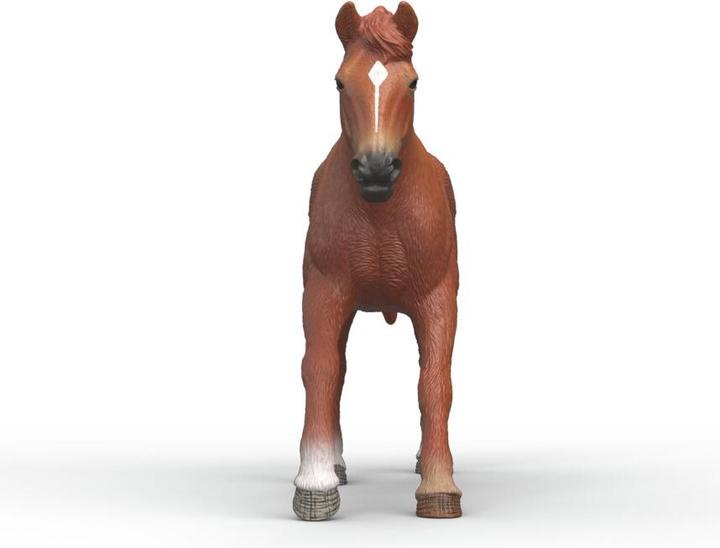 Image du produit Schleich Englisches Vollblut Hengst