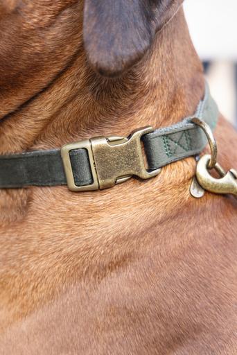 Actual product image Designed by Lotte Dog collar Velura (Dog, Walks)