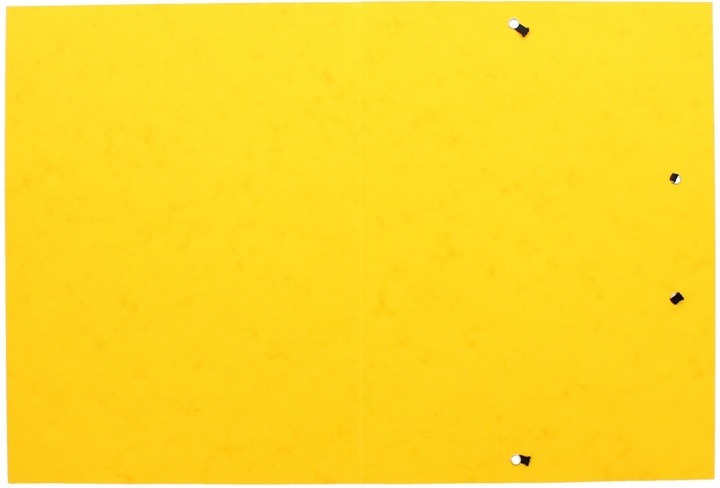 Produktbild Pagna Spannmappen A4 (A4, 25 x)
