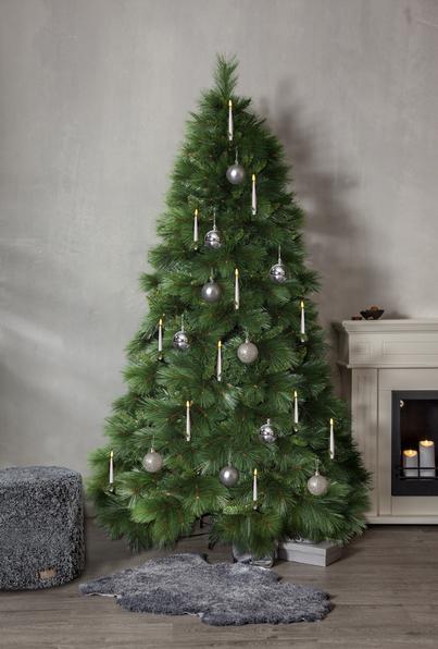 Produktbild Star Trading Kerzenleuchter Navida