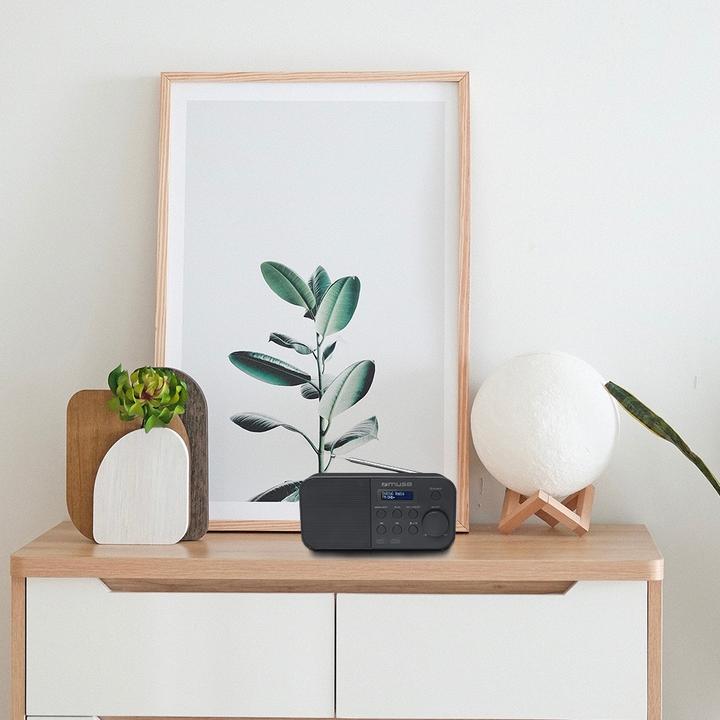 Image du produit Muse M-109 DB (DAB+ DAB, PLL)