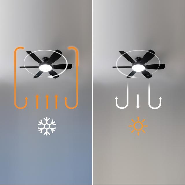 Produktbild Cecotec Aero 5200 Black Pro