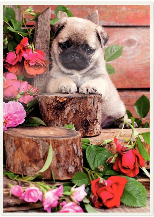 Produktbild Leitz iLAM Heisslaminierfolien matt A3 (A3, 100 Stk., 125 µm)