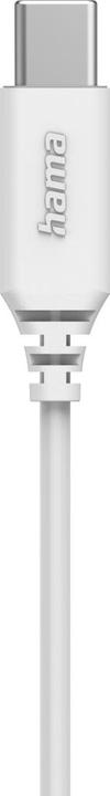 Actual product image Hama Ocean II headphones, earbuds, microphone, cable bend protection, USB-C, white (Cable)