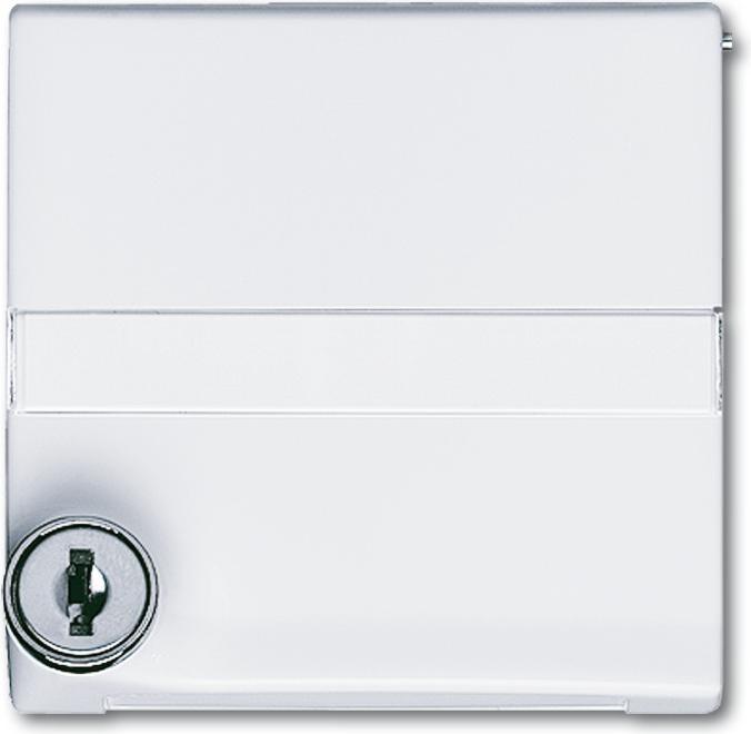 Actual product image Busch-Jaeger Intermediate ring with hinged cover 2CKA001710A1969