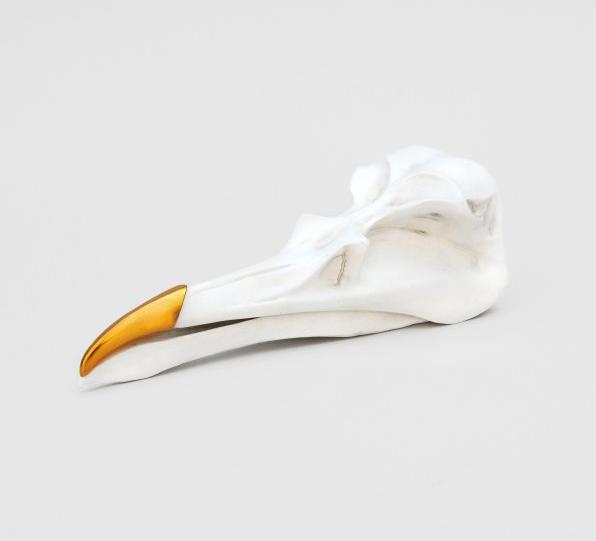 Suck UK Rangement pour crâne d'oiseau