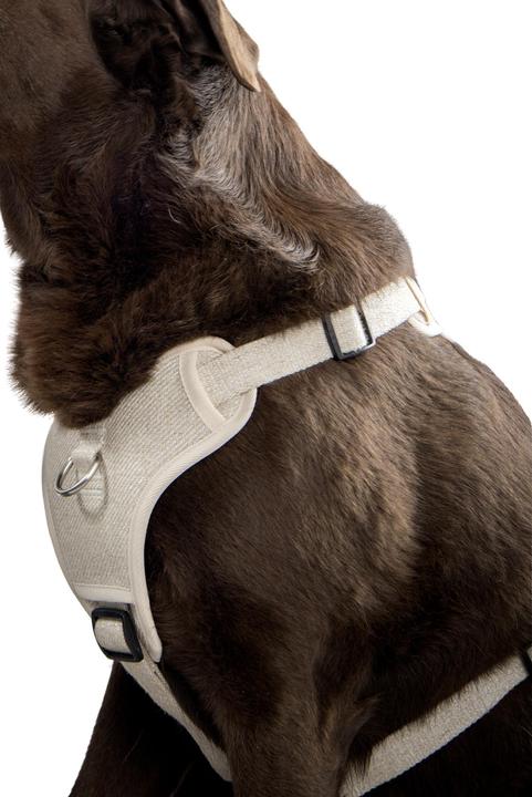 Produktbild Flamingo H Lago (XL, Hund, Allgemein, Spazieren)