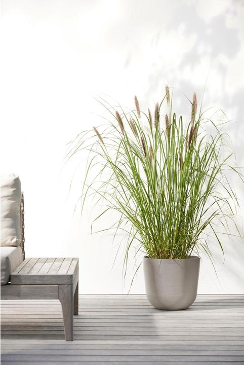 Actual product image Ecopots Oslo (25 cm)