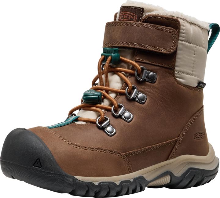 Brown, Dark Earth, Roasted pecan