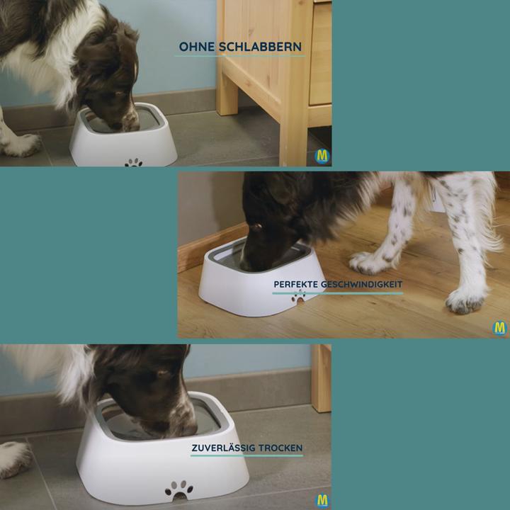 Produktbild MediaShop BelloBuddy Hundewassernapf (1.50 l)