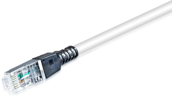 Actual product image Lightwin Patch cord Securelock Cat.6A, 30cm Grey (S/FTP, CAT6a, 0.30 m)