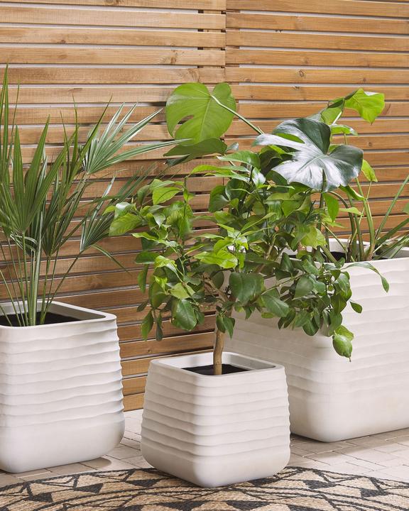 Produktbild Beliani Parikia (50 x 50 x 49 cm)