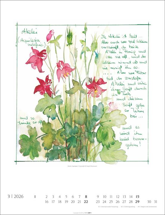 Actual product image Hildegard von Bingen Kalender 2026 (30 x 39 cm)