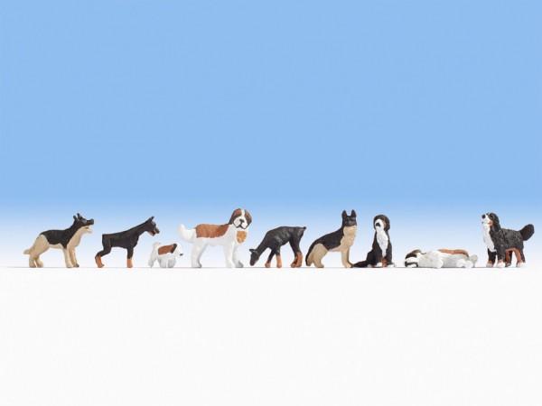 Produktbild Noch 15717 H0 Figuren Hunde