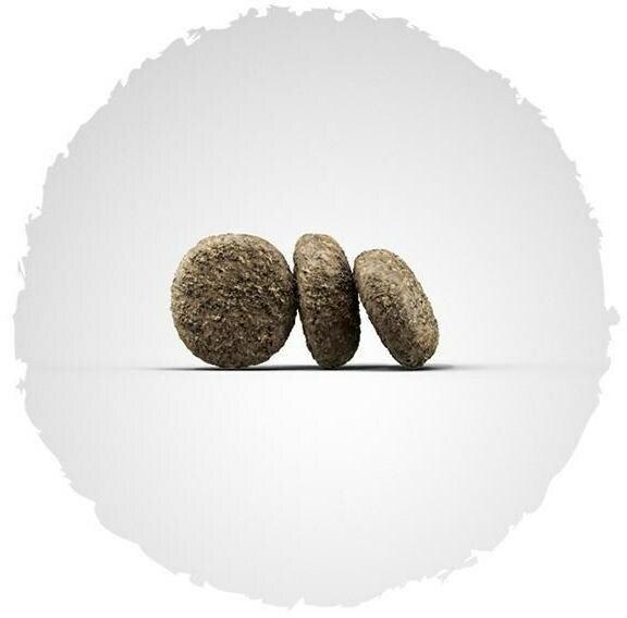 Produktbild Josera Mini Adult Lamb (Adult, 1 Stk., 10000 g)