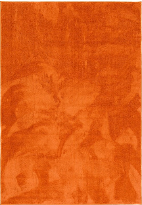 Produktbild Pergamon Super Soft Hochflor Langflor Teppich Melia Kids (120 x 170 cm)