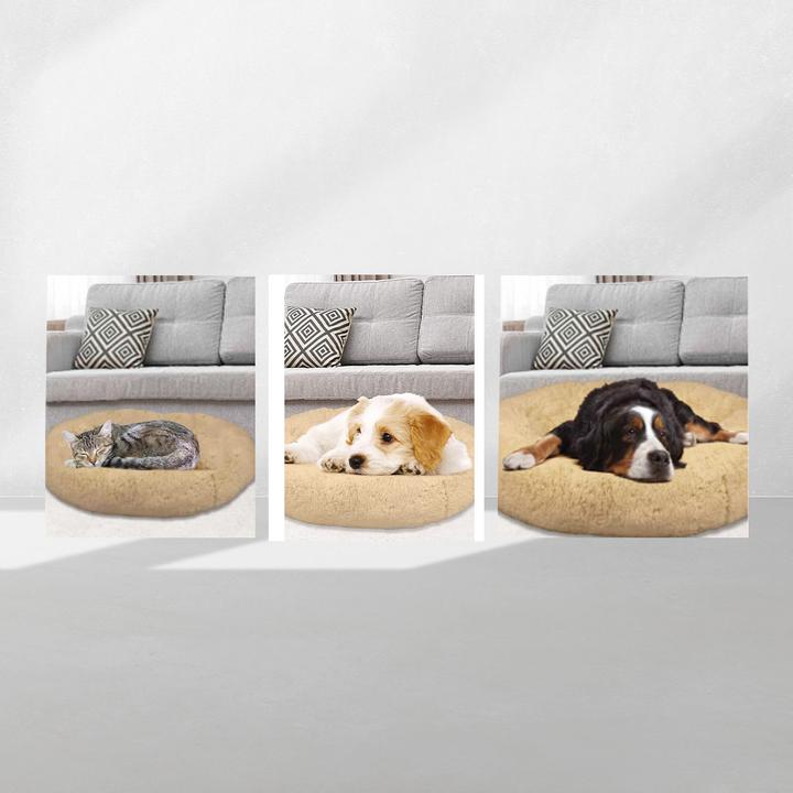 Actual product image MediaShop Peaceful Pooch (Dog)