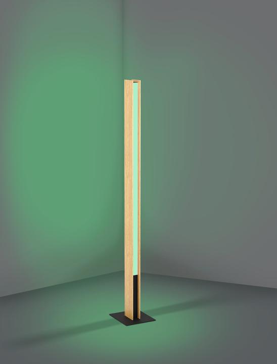 Immagine prodotto EGLO Collegati (3980 lm)