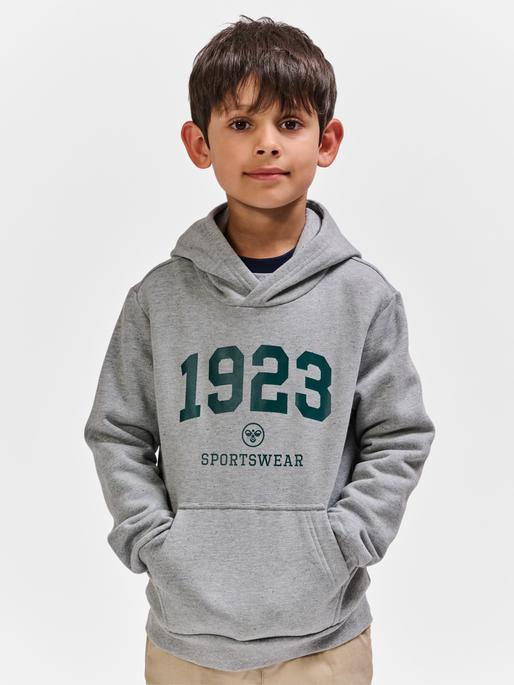 Produktbild hummel hmlNIPPS HOODIE (110)