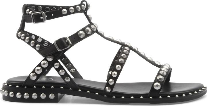 Produktbild Ash Precious (40)