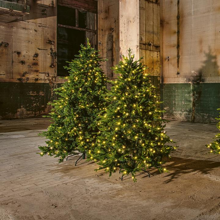 Immagine prodotto STT Albero (180 cm)