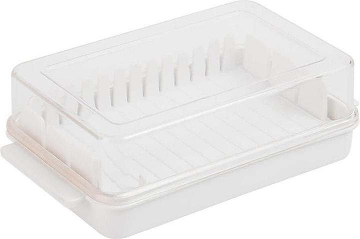 Actual product image JTI Smart butter container with lid