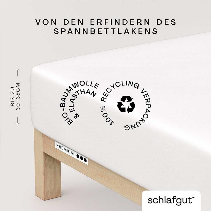 Produktbild schlafgut Premium (120 x 200 - 130 x 220 cm)