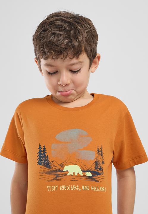 Produktbild Jack Wolfskin Graphic Cotton T Kids (164)