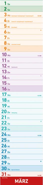Energy Label Alpha Edition Megaplaner 2025 strip calendar, 15x64cm, family calendar with one column, much (German)