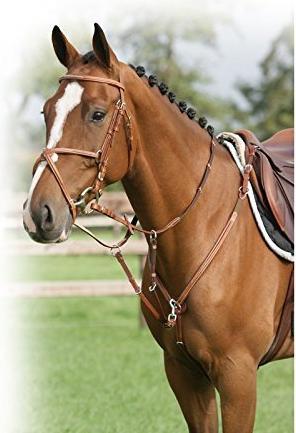 Actual product image Qhp Luxury hunting collar with decorative stitching