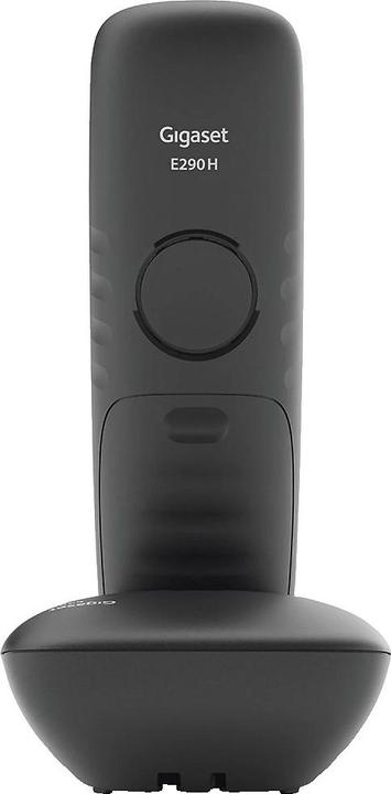 Actual product image Gigaset E290 Duo (DE-Version)
