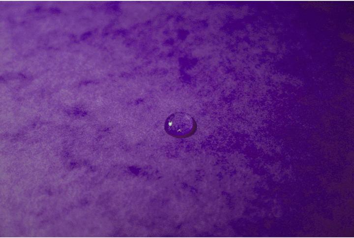 Actual product image Exacompta Stapled file folders (A4, 1x)