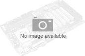 Image du produit Intel NUC 8 Rugged Board NUC8CCHBN, 5 pack,, BGA 1296, ® Celeron® N, 14 nm, N3350, LPDDR3 (BGA 1296)