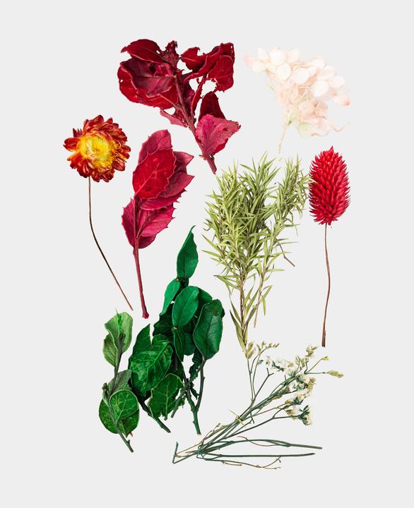 Image du produit I Am Creative Kit de fleurs séchées (Fleurs séchées)