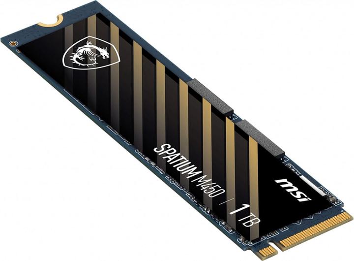 Actual product image MSI Spatium M450 (1000 GB, M.2 2280)