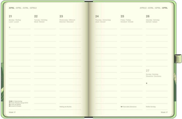 Actual product image Neumann N NEUMANNVERLAGE - Matcha 2025 Cool Diary, 16x22cm, weekly calendar with banderole and ribbon (16 x 22 cm)