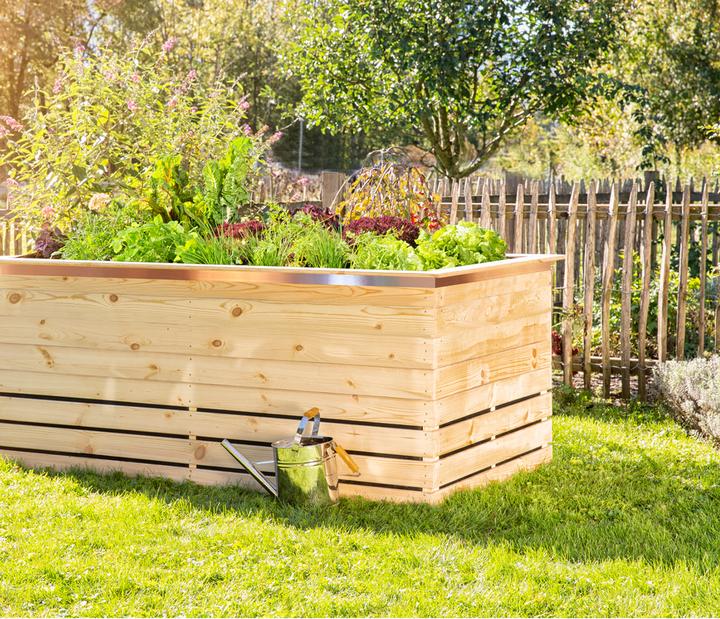 Immagine prodotto Windhager Nastro di difesa contro le lumache