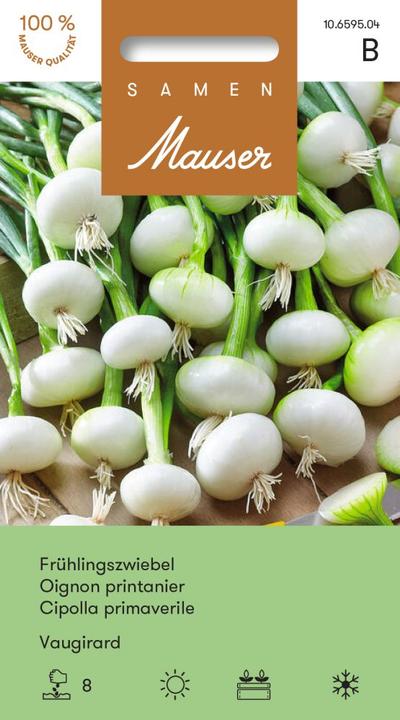 Produktbild Samen Mauser Frühlingszwiebel Vaugirard (Blumenzwiebeln)