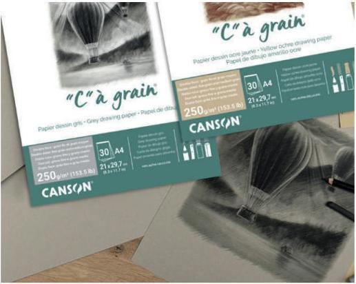 Produktbild Canson Pastellblock C' à grain grau (A4, Kariert)