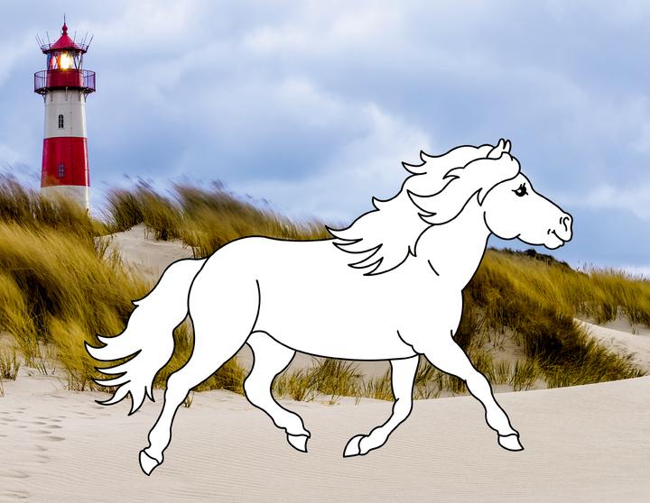 Produktbild Traumpferde-Malbuch: Strand & Meer