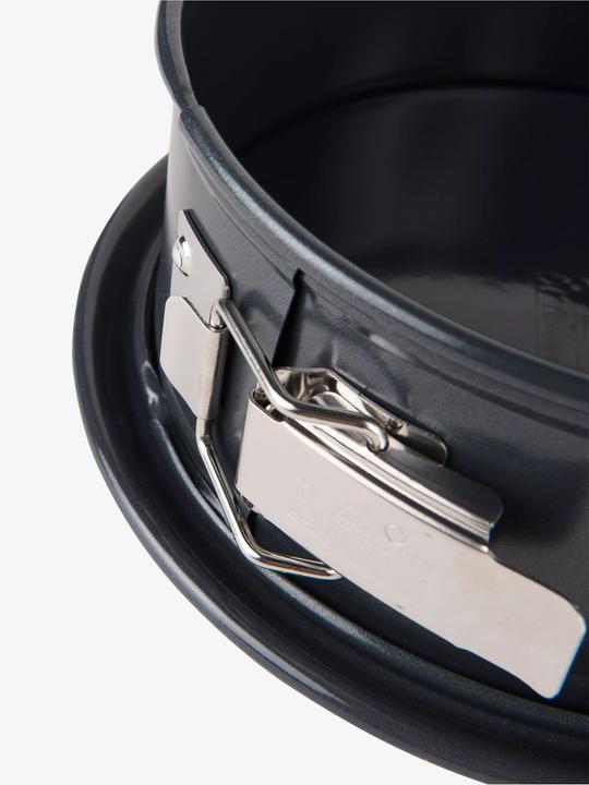 Actual product image Birkmann Springform pan Premium Baking (20 cm)